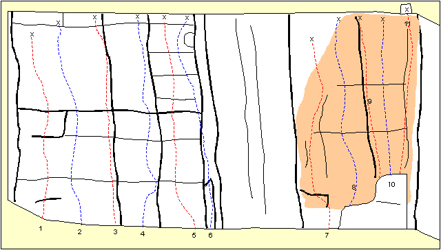 Swamp Wall map